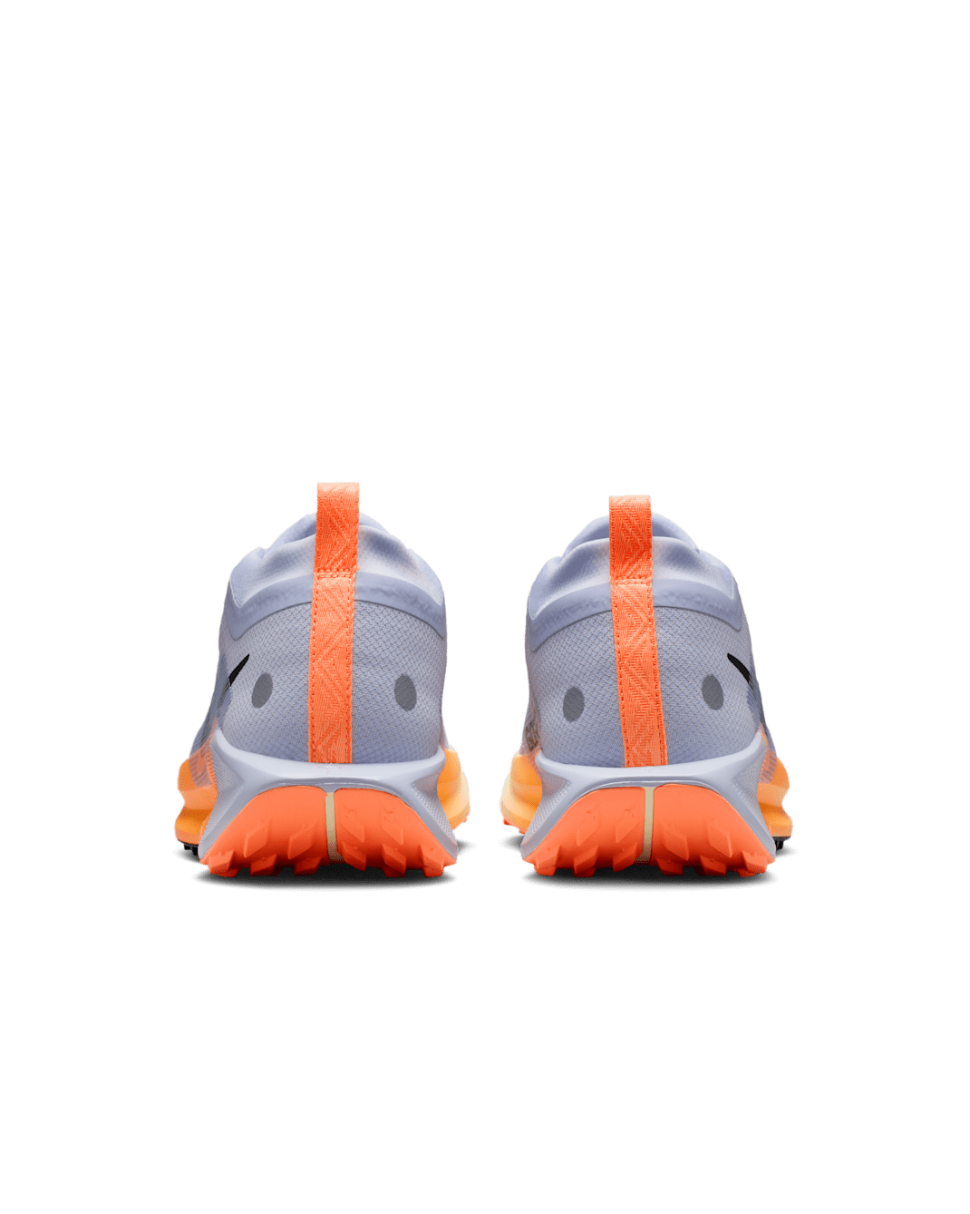 Nike Pegasus Trail 5 GTX